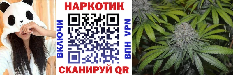 Купить наркотики сайты Сортавала mega вход  Псилоцибиновые грибы  Меф  Марихуана  Гашиш  Кокаин  СОЛЬ 